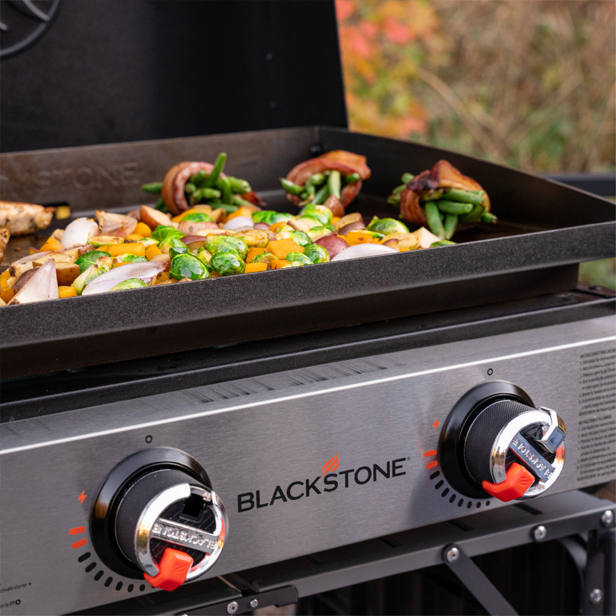 Blackstone 22'' Griddle With Hood