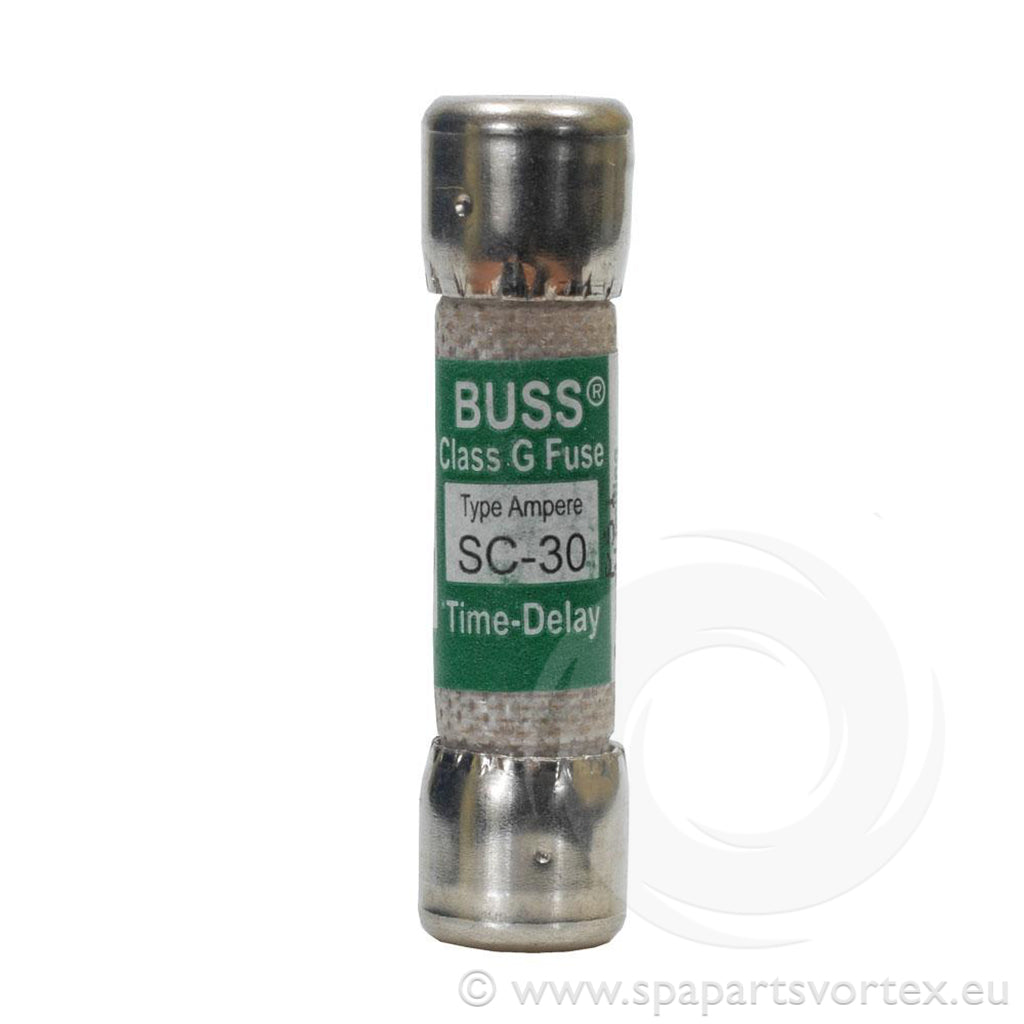 30 amp Main Buss Fuse