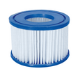 InSpire LAY-Z Spa Filter (Individual Box)