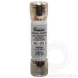 25 amp Main Buss Fuse