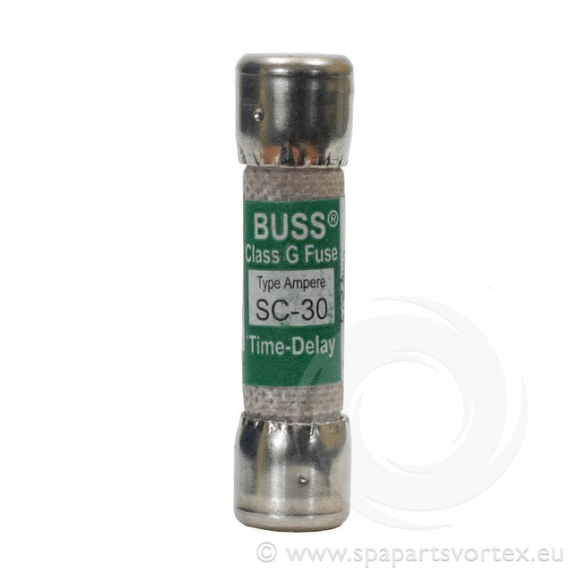 30 amp Main Buss Fuse
