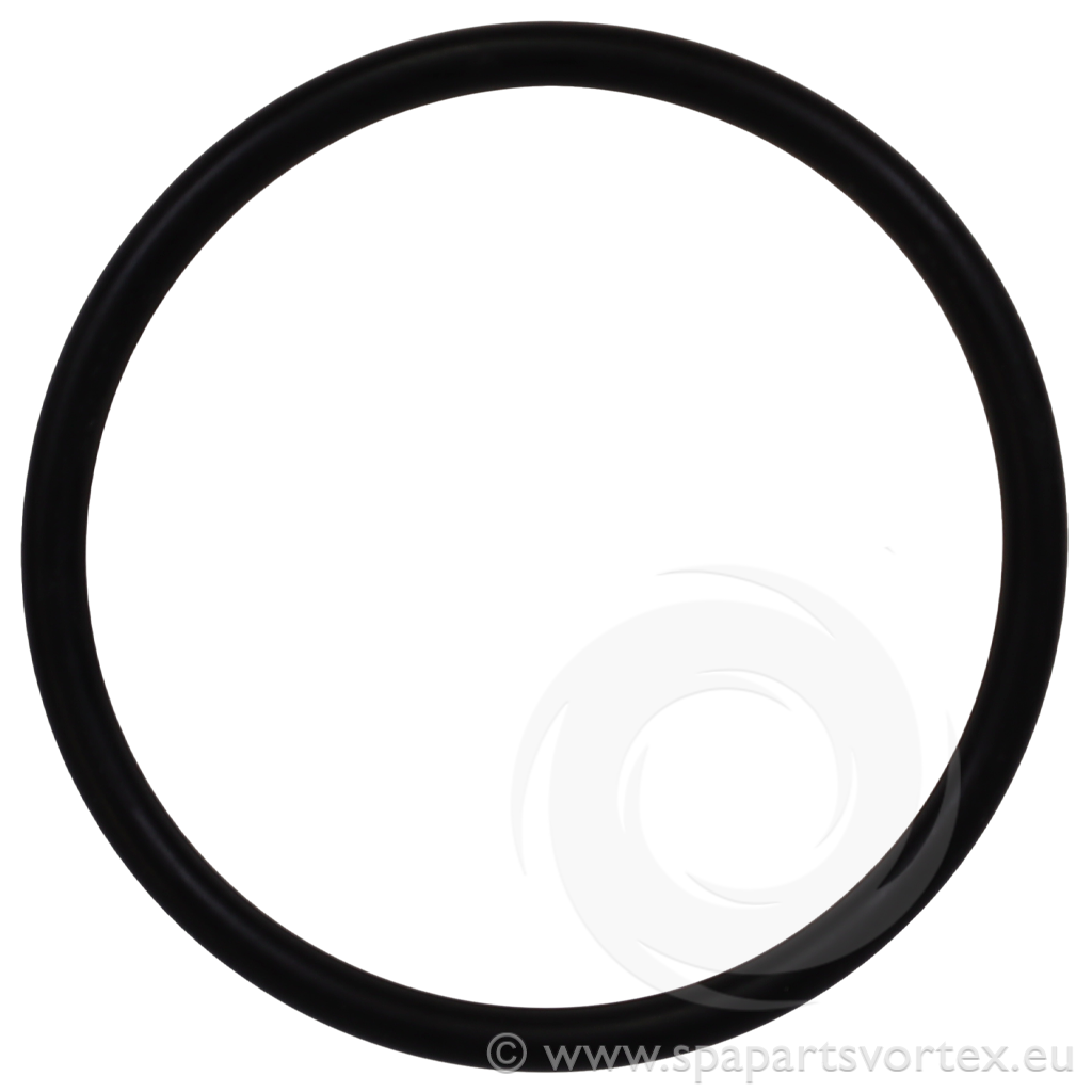 LVJ 3" Jet Body O'Ring - image 2