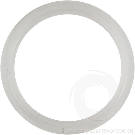 Waterway Mini Jet Wall Fitting Gasket