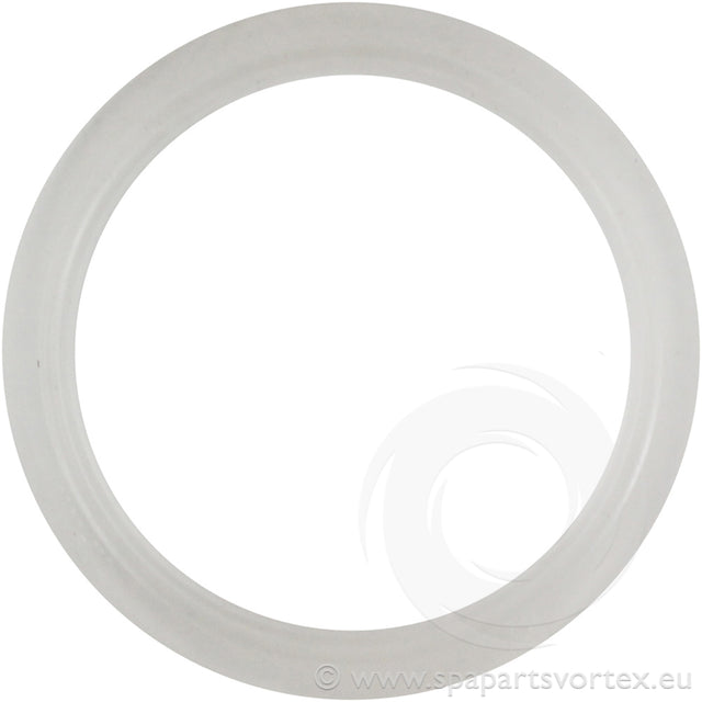 Waterway Mini Jet Wall Fitting Gasket