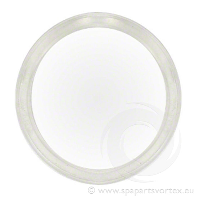 Waterway Poly Jet Wall Fitting Gasket