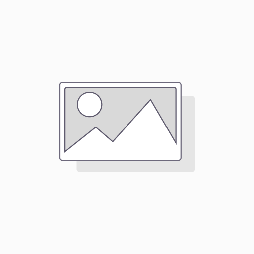 Gecko Overlay IN.K120