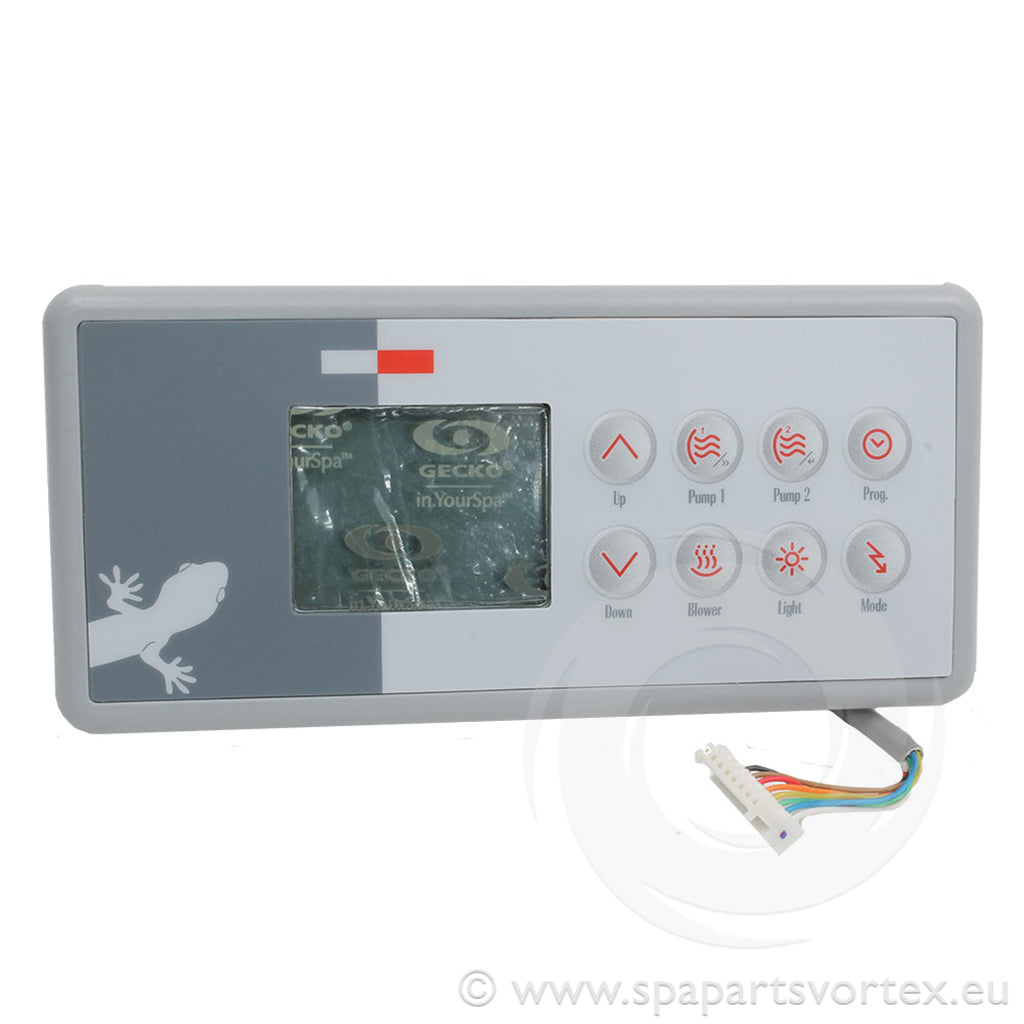TSC-4 (K-4) Gecko 8 Buttons Topside Control (2 Pumps)